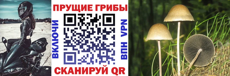 Псилоцибиновые грибы Magic Shrooms  Щёкино 